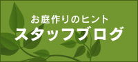 スタッフブログ