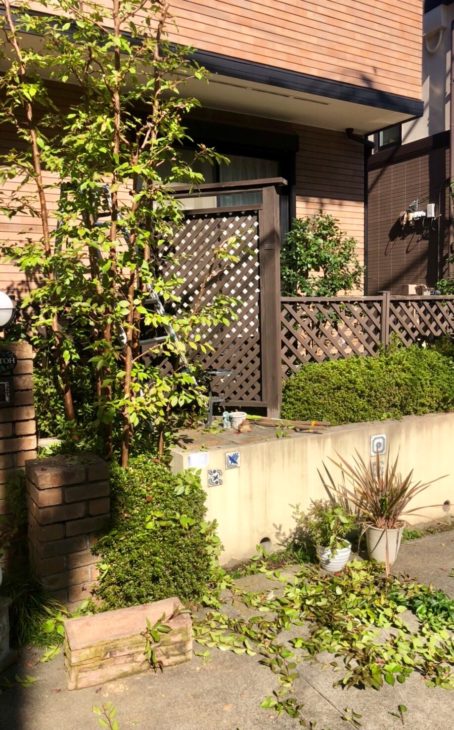 年末にむけたお庭のお手入れ