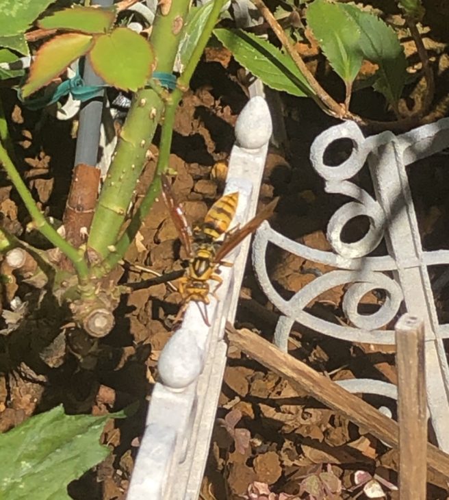 まだ働いてるのかな。