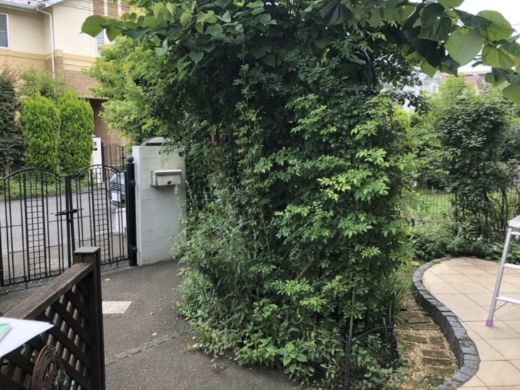 ガーデンリフォーム完成