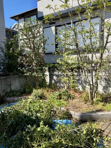 気分転換に、ちょっとお庭へ