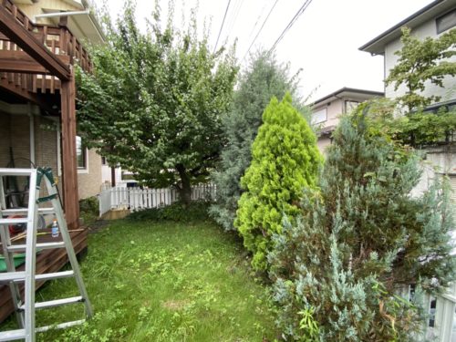 久しぶりの青空