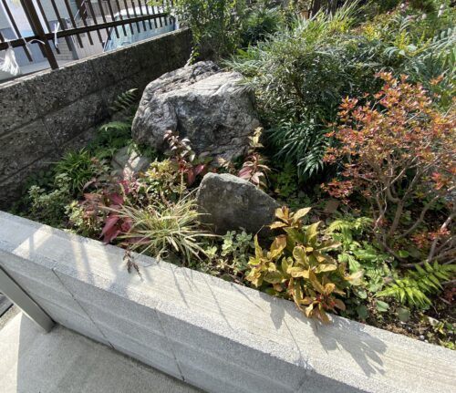 植栽に困ったら。。。