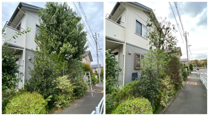 定期的な庭木のお手入れ